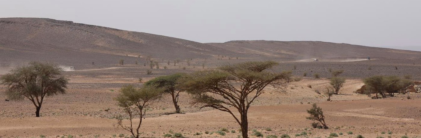 Action solidaire du Rallye Aïcha des Gazelles auprès des populations du sud marocain