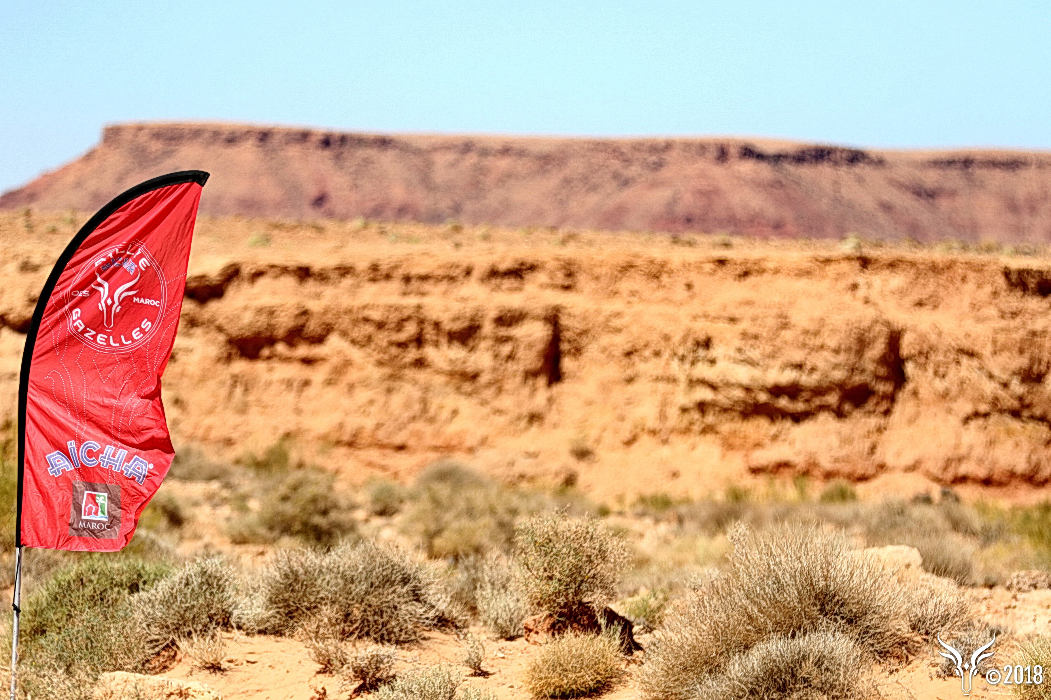 Oriflamme du Rallye Aïcha des Gazelles au bivouac, dans le désert marocain