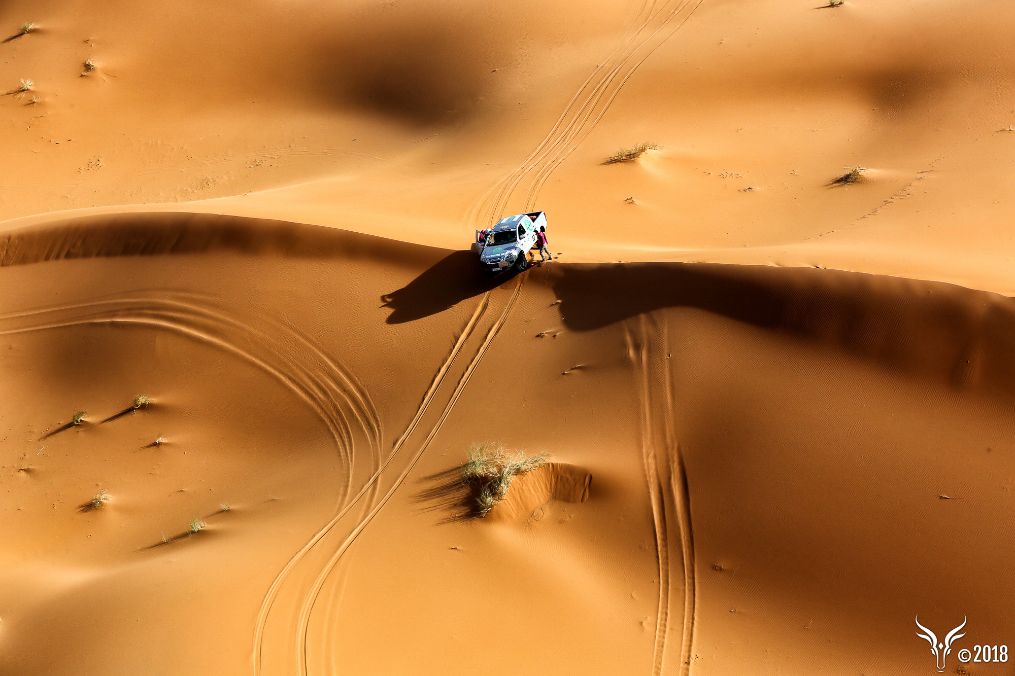 Le Rallye Aïcha des Gazelles au cœur des dunes